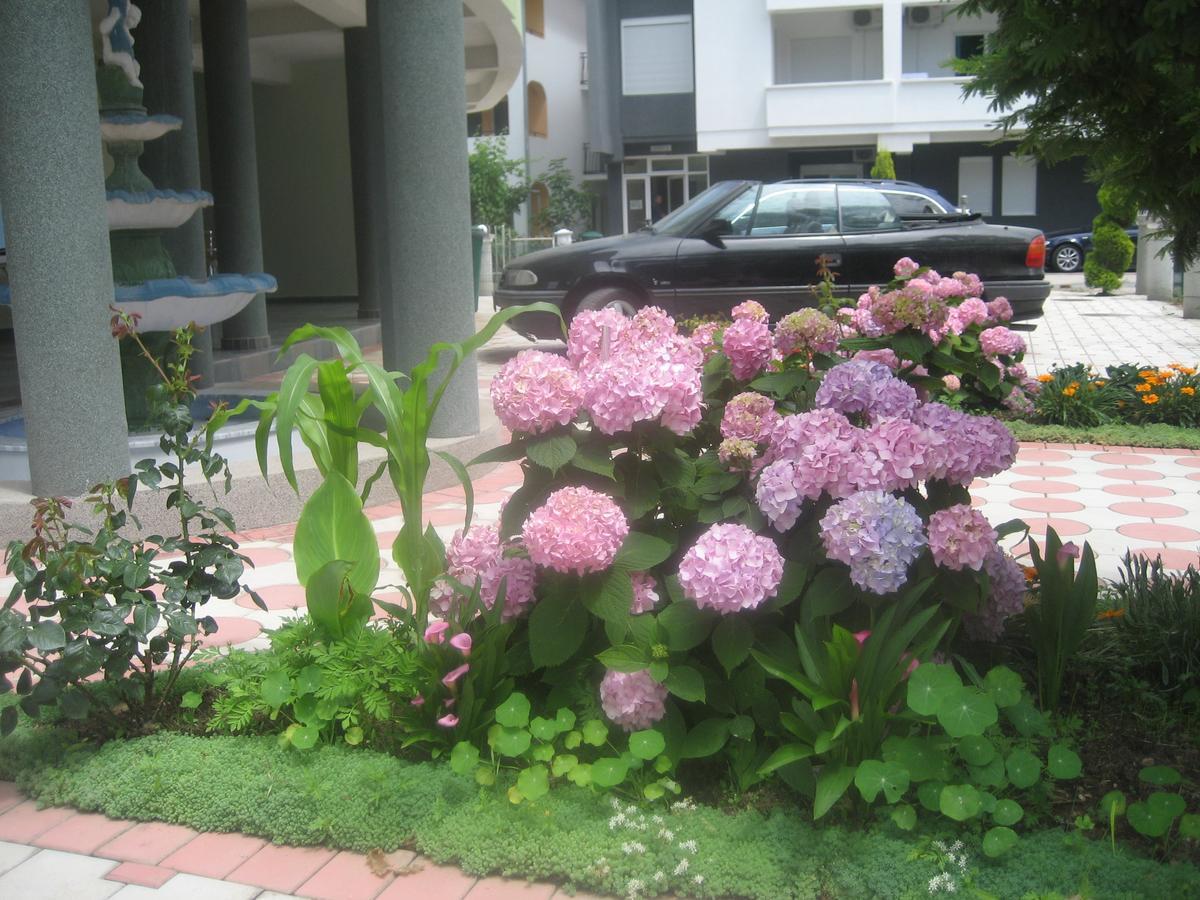 Guest House Vila Mimoza Ulcinj Kültér fotó