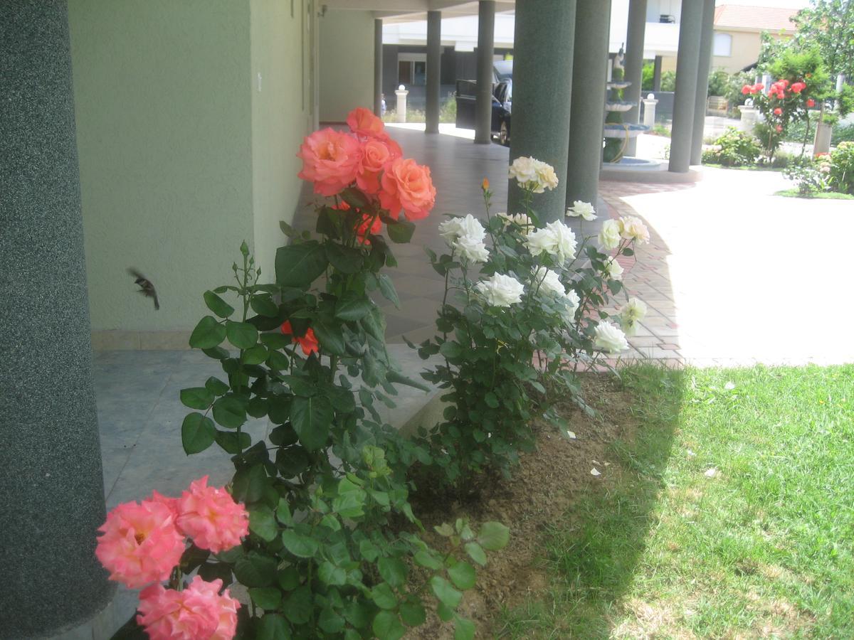 Guest House Vila Mimoza Ulcinj Kültér fotó
