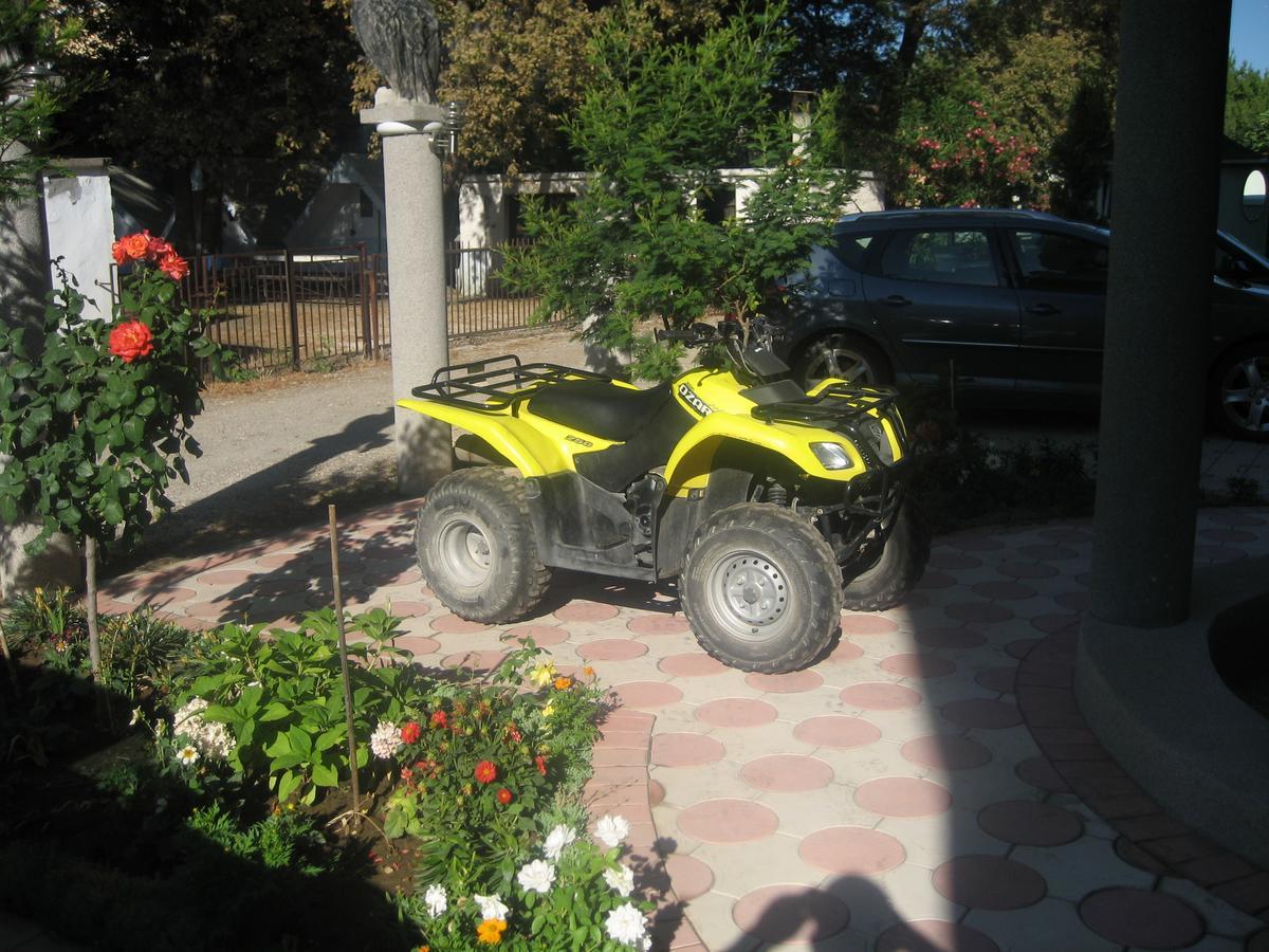 Guest House Vila Mimoza Ulcinj Kültér fotó